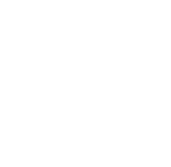 Line and Ledger